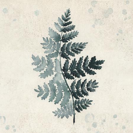 Teal watercolor fern 2