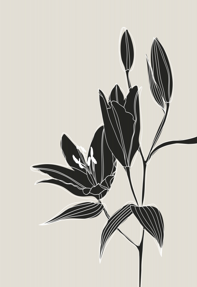 Line art lillies in black van Rosana Laiz Blursbyai