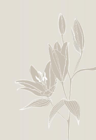 Line art lillies in white