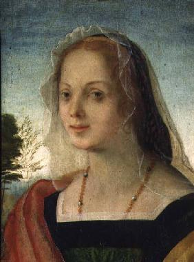 Portrait of a Young Girl