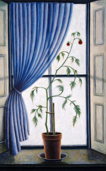 Plant in Window, 2003 (oil on canvas)  van Ruth  Addinall