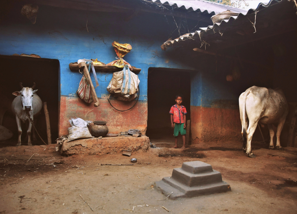 Rural Realities van Saikat Mukherjee