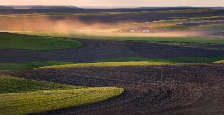 Sunset in the dust