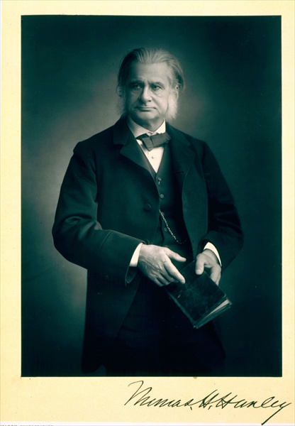 Professor Thomas H. Huxley (1825-95), biologist, portrait photograph (b/w photo)  van Stanislaus Walery