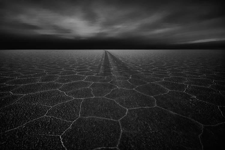 On the Road to Nowhere van Stefan Schilbe