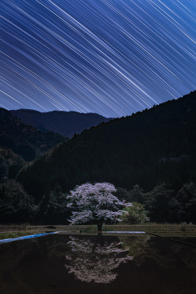 Starry Night van Takeshi Mitamura