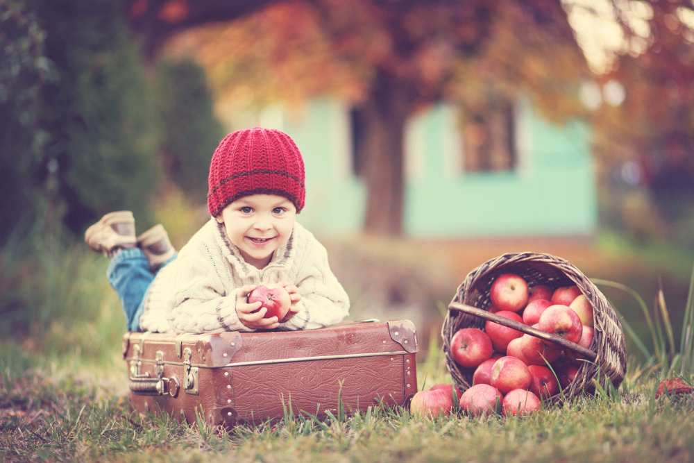 Apple season van Tatyana Tomsickova