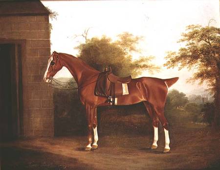 Horse with side saddle van Thomas Weaver