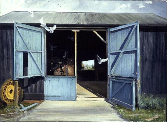 Doves Leaving the Barn van Timothy  Easton