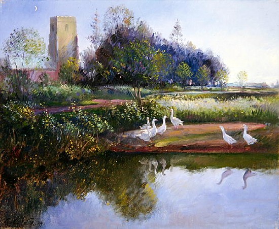 Geese at Sundown, 1991  van Timothy  Easton