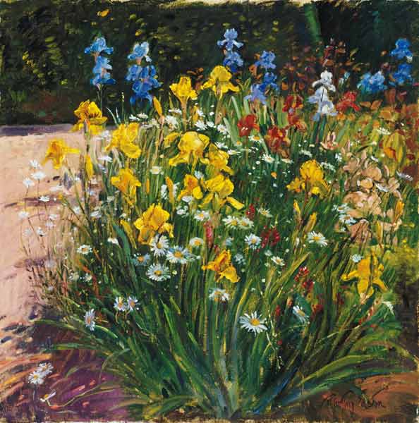 Oxeye Daisies Against the Irises (oil on canvas)  van Timothy  Easton