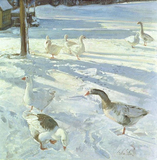 Snowfeeders, 1999 (oil on canvas)  van Timothy  Easton