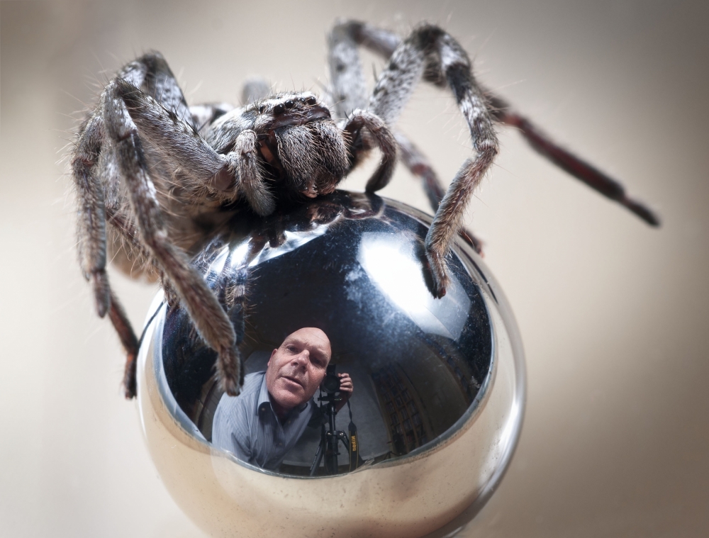 Self-Portrait with Spider van TJ Millar