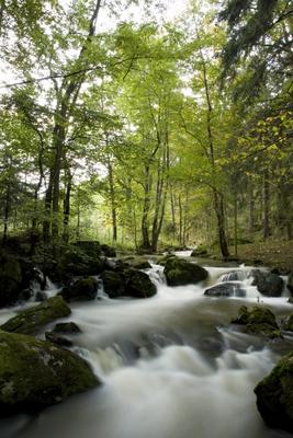 Wilder Fluss in einem Tal van Tobias Ott