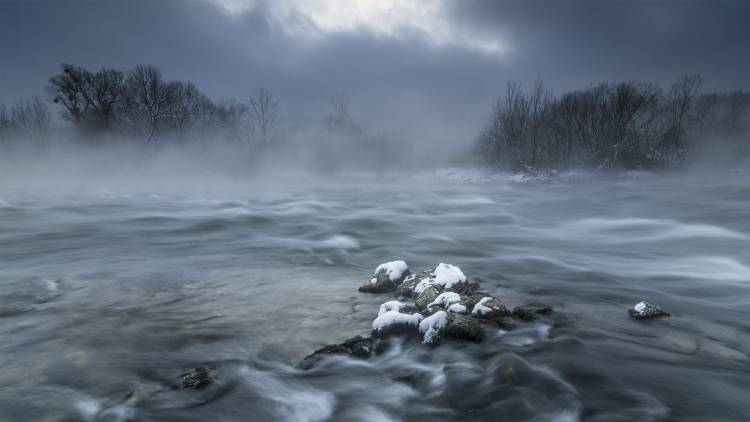Frosty morning at the river van Tom Meier