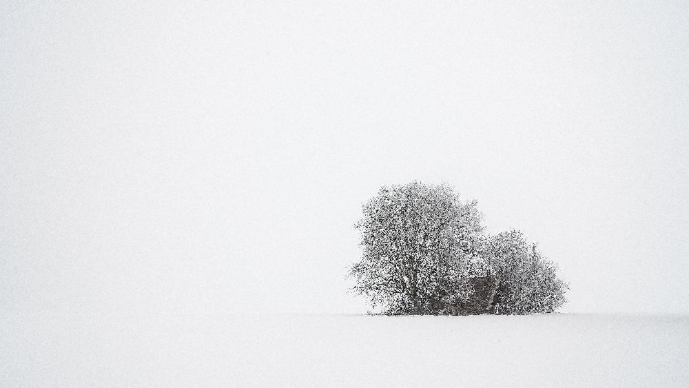 Winter silence van Tom Meier
