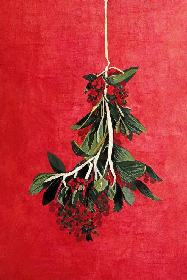 Painted Mistletoe