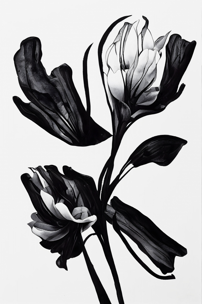 Black Flower van Treechild