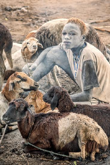 Mundari shepherd