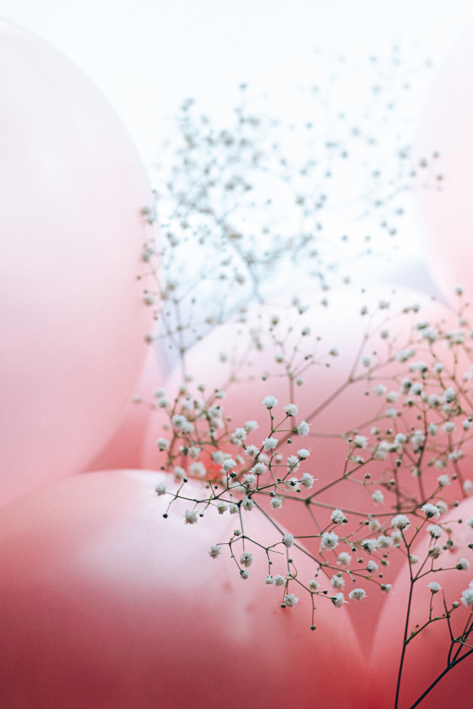 Blooms and Balloons - Moment like this van uplusmestudio