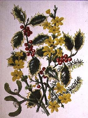 Holly, Winter Jasmine, Heath and Mistletoe (w/c on paper) 