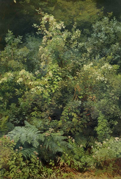 Hops and Ferns in Woodland van Valentin Ruths
