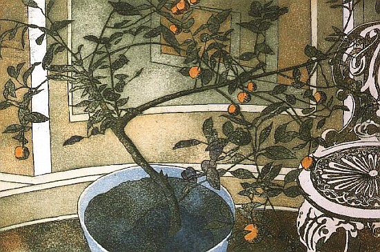 Orange Tree (print)  van Valerie  Daniel