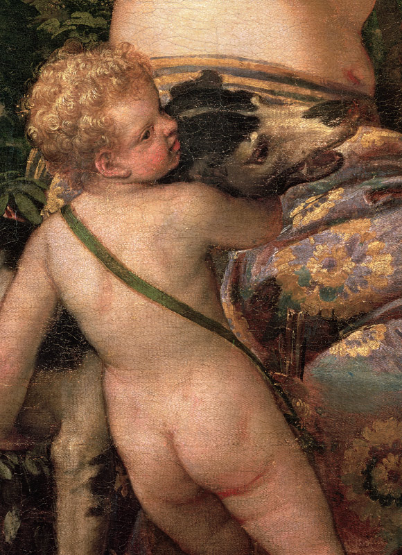 Cupid, detail from Venus and Adonis van Veronese, Paolo (eigentl. Paolo Caliari)
