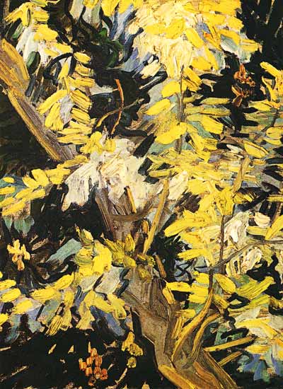 Bloeiende acaciatak  van Vincent van Gogh