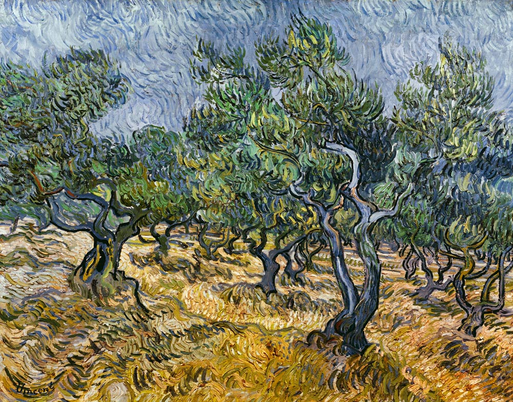 Olijfgaarden  van Vincent van Gogh