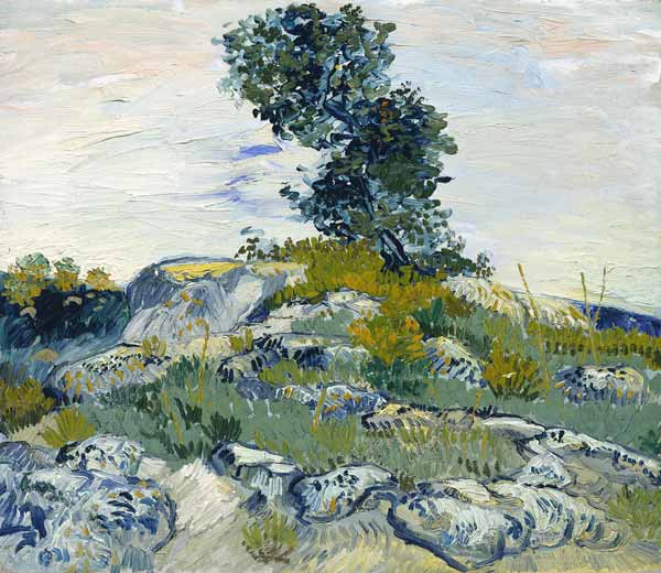 The Rocks van Vincent van Gogh