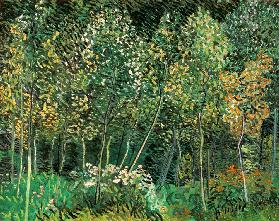 Bos met kreupelhout - Vincent van Gogh