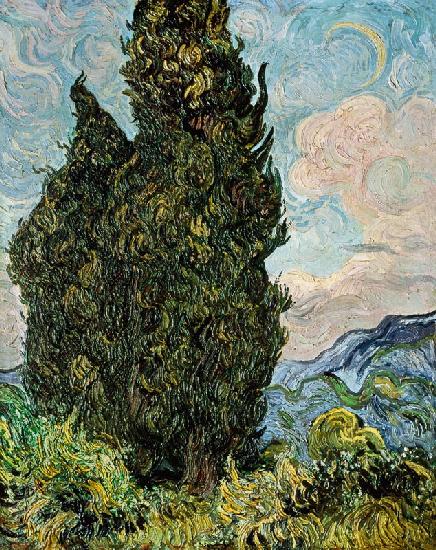 Irissen Vincent van Gogh