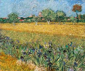 Gezicht op Arles met irisbloemen