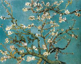 Amandelbloesem  - Vincent van Gogh