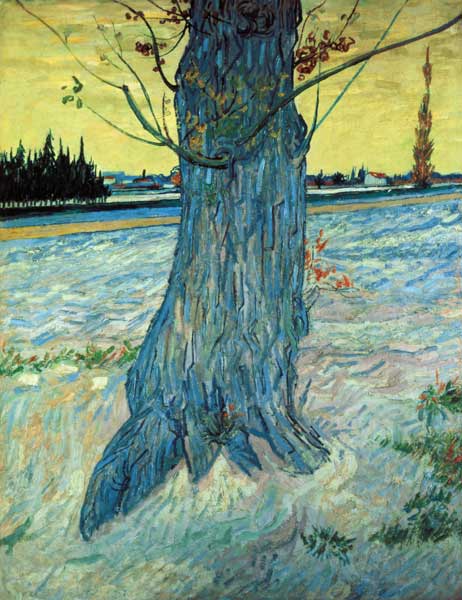 van Gogh / The Tree / 1888 van Vincent van Gogh