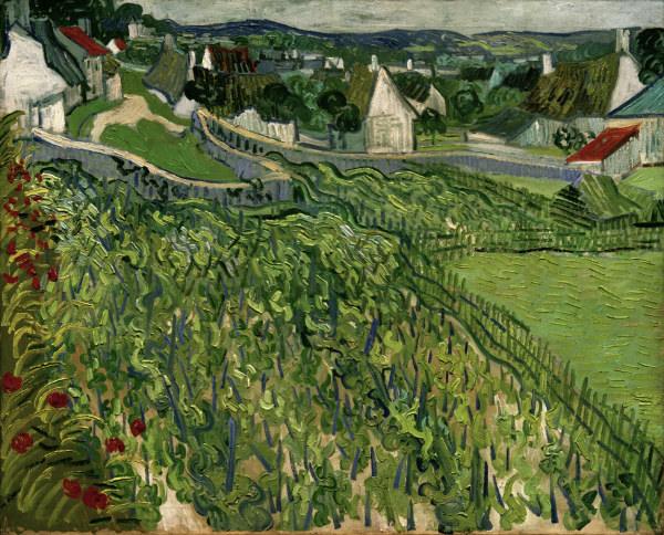 van Gogh / Vineyards at Auvers / 1890 van Vincent van Gogh