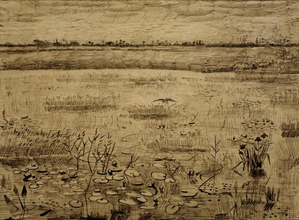 V.van Gogh, Marsh w.Water Lillies/ 1881 van Vincent van Gogh