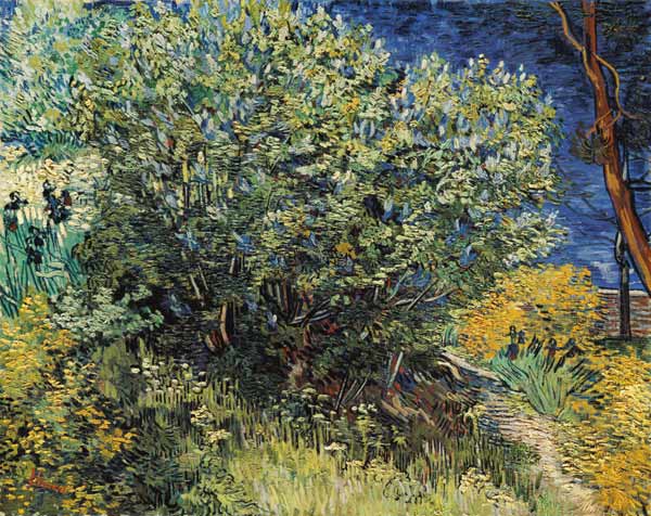 V.v.Gogh / Lilacs / Painting / 1889 van Vincent van Gogh