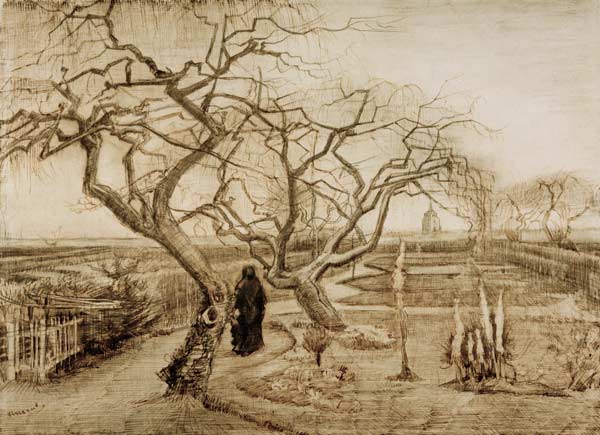 V.van Gogh, Winter Garden / Draw./ 1884 van Vincent van Gogh
