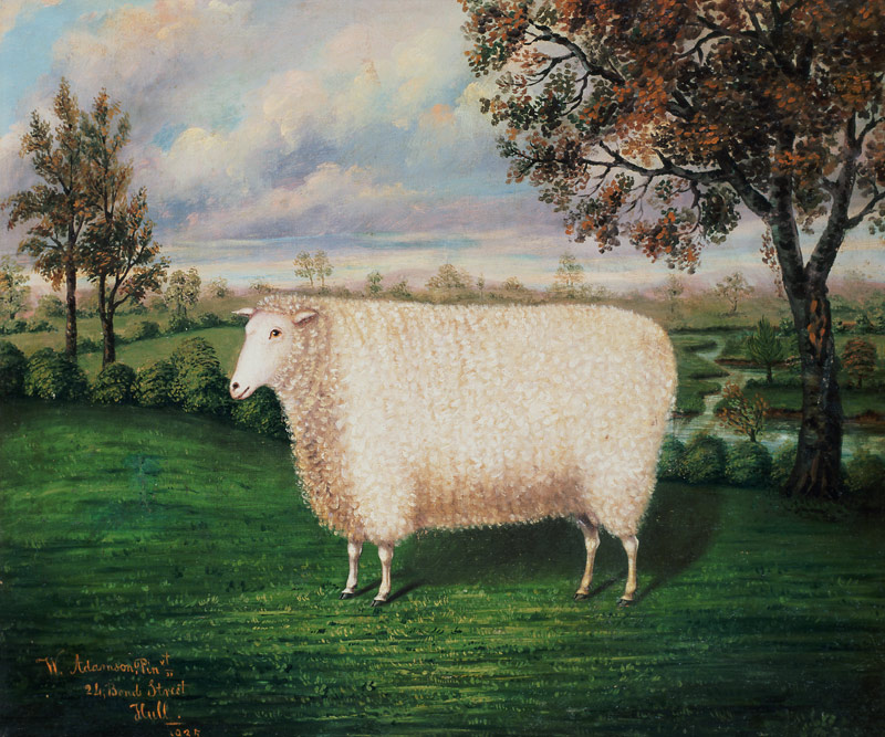A Prize Sheep of the Old Lincoln Breed van W. Adamson