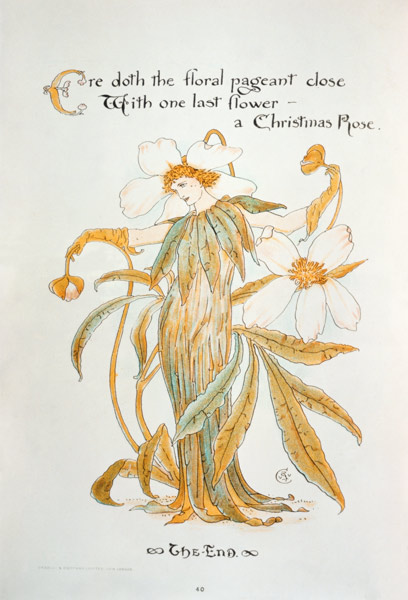 Christmas Rose van Walter Crane