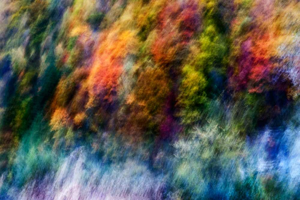 COLORFUL FOREST van Wei He
