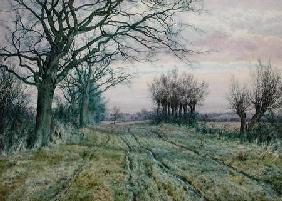 A Fenland Lane with Pollarded Willows