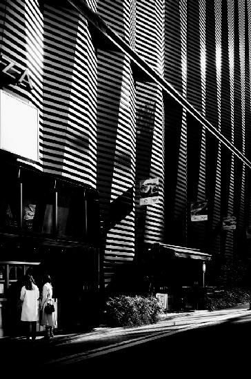 Ginza Backlit